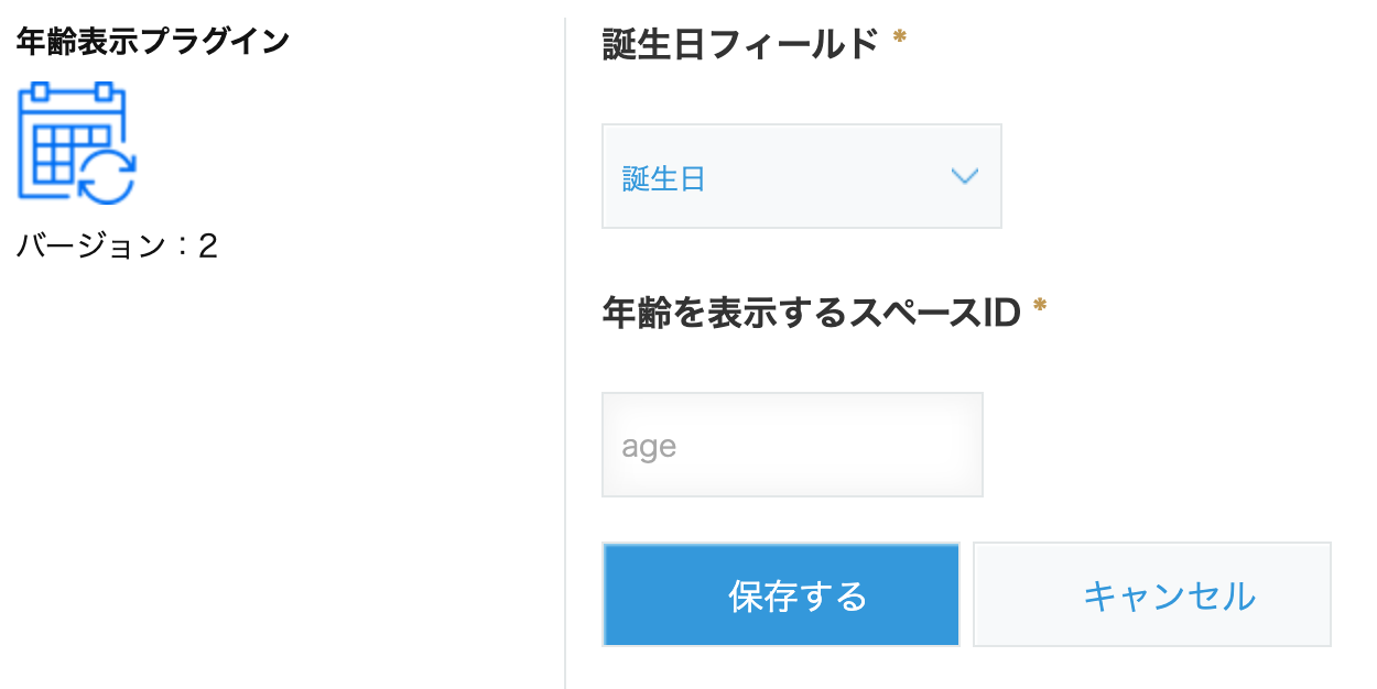 年齢表示プラグインの設定画面
